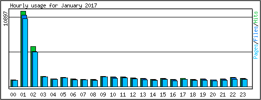Hourly usage