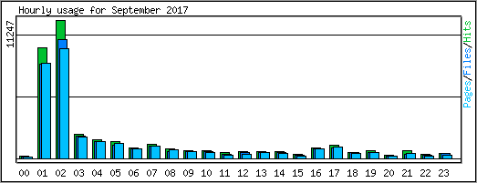 Hourly usage